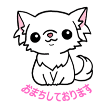 Mamechiyo of Chihuahua 2nd sticker #2279320