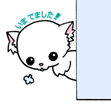 Mamechiyo of Chihuahua 2nd sticker #2279327