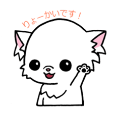 Mamechiyo of Chihuahua 2nd sticker #2279334