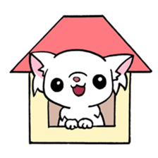 Mamechiyo of Chihuahua 2nd sticker #2279349