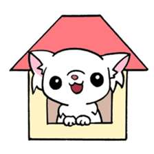 Mamechiyo of Chihuahua 2nd sticker #2279349