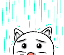 Chief of cat sticker #2280622