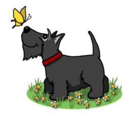 Entertaining friends, Scottish Terrier. sticker #2280997