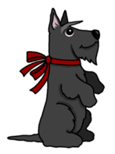 Entertaining friends, Scottish Terrier. sticker #2280998