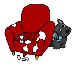 Entertaining friends, Scottish Terrier. sticker #2281002