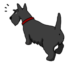 Entertaining friends, Scottish Terrier. sticker #2281016