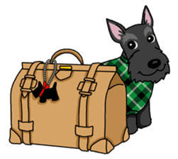 Entertaining friends, Scottish Terrier. sticker #2281031