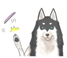Clever Siberian Husky sticker #2284128