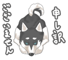 Clever Siberian Husky sticker #2284137