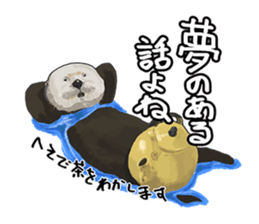lazy sea-otters sticker #2288913