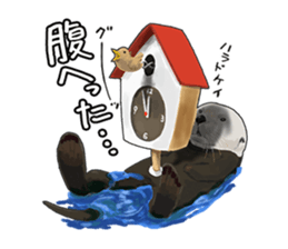 lazy sea-otters sticker #2288915