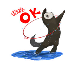 lazy sea-otters sticker #2288918