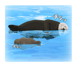 lazy sea-otters sticker #2288924