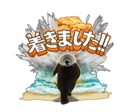 lazy sea-otters sticker #2288930