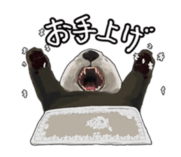 lazy sea-otters sticker #2288935