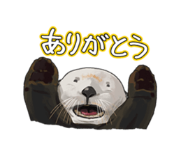 lazy sea-otters sticker #2288937
