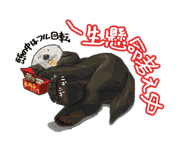 lazy sea-otters sticker #2288942