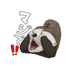 lazy sea-otters sticker #2288947