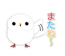 cute owl sticker #2291443