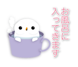 cute owl sticker #2291444