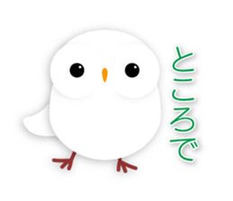cute owl sticker #2291450