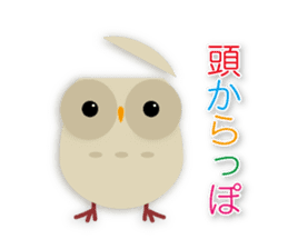 cute owl sticker #2291460