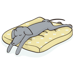 Me and my dog sticker #2295046