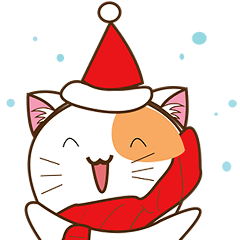 Kenta the cat, christmas time
