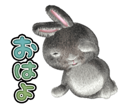 Softy rabbit sticker #2298584