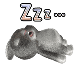 Softy rabbit sticker #2298587