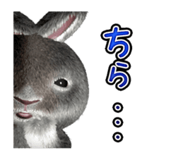 Softy rabbit sticker #2298594
