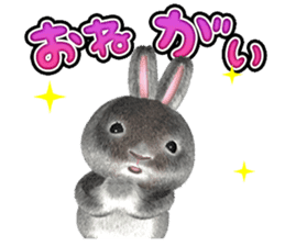 Softy rabbit sticker #2298599