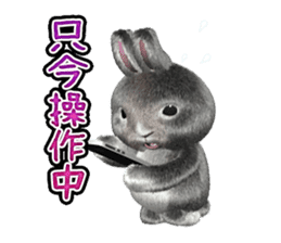 Softy rabbit sticker #2298618