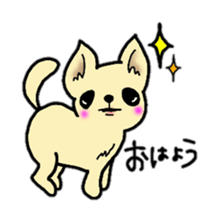 Chiwawan sticker #2299864