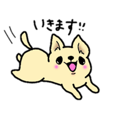 Chiwawan sticker #2299879