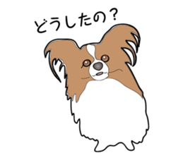 Illustrations of Papillon realistic sticker #2299962