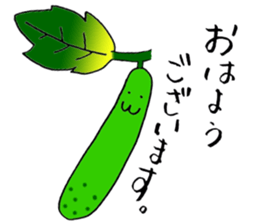 Mr.Cucumber sticker #2302024