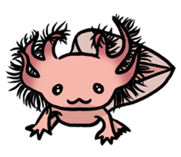 Axolotl~Upa~ sticker #2302488