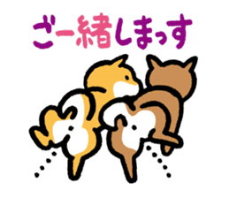 Shiba-Inu-San-no-Tsubo vol.2 sticker #2303746