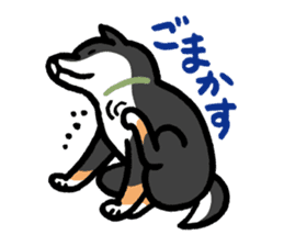 Shiba-Inu-San-no-Tsubo vol.2 sticker #2303748