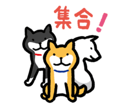 Shiba-Inu-San-no-Tsubo vol.2 sticker #2303756