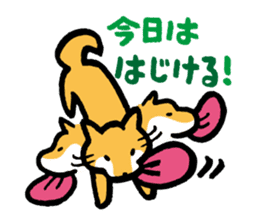 Shiba-Inu-San-no-Tsubo vol.2 sticker #2303757