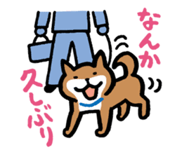 Shiba-Inu-San-no-Tsubo vol.2 sticker #2303761