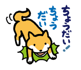 Shiba-Inu-San-no-Tsubo vol.2 sticker #2303762