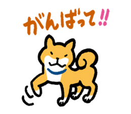 Shiba-Inu-San-no-Tsubo vol.2 sticker #2303765