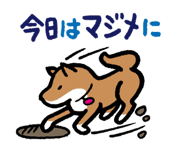 Shiba-Inu-San-no-Tsubo vol.2 sticker #2303766