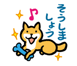 Shiba-Inu-San-no-Tsubo vol.2 sticker #2303777
