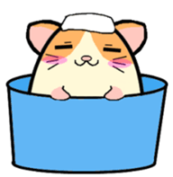 Ham Tama Everyday sticker #2305285