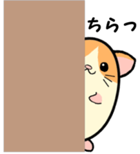 Ham Tama Everyday sticker #2305291