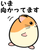 Ham Tama Everyday sticker #2305303